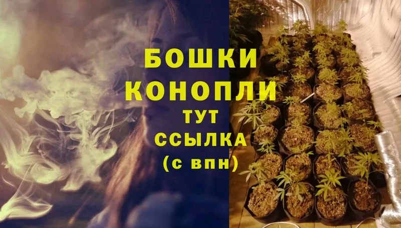 Конопля LSD WEED  Ковров 